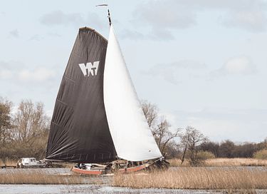 Houten lodge in Friesland met privé wellness - 25