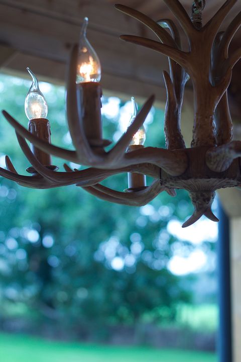Romantisch natuurhuisje - 3