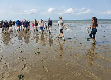 Logement de vacances avec embarcadère privé, à proximité de la mer - 45