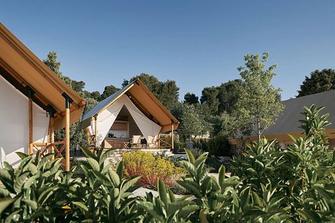 Glampingzelt in Brabant für 6 Personen - 2