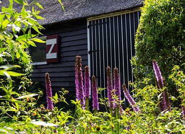 Einzigartige Übernachtung in Zeeland - 46