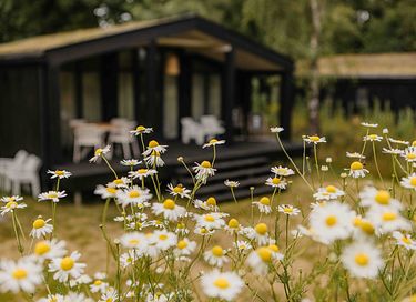 Logement de vacances écologique avec bain à remous privé - 19