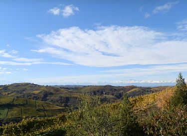 ferienwohnungen mit blick auf die weinberge - 34