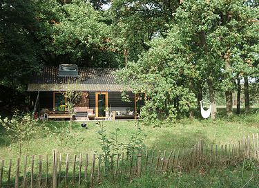 Houten vakantiehuis in het bos op de Veluwe - 3