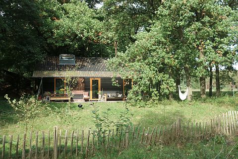 Houten vakantiehuis in het bos op de Veluwe - 3