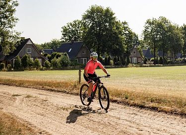 4 pers. vakantiehuis met hottub in Overijssel - 32