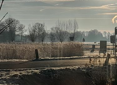 Chalet met vrij uitzicht over de weilanden - 14