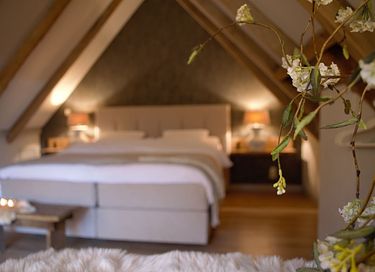Luxe vakantiehuis met hottub - 13