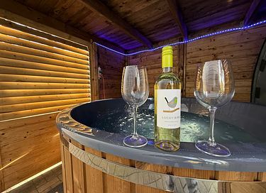 Chalet mit privatem Whirlpool auf der Veluwe - 3