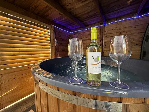 Chalet mit privatem Whirlpool auf der Veluwe - 3