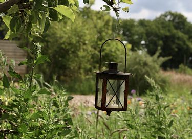 Knus tiny house met hottub (5p) in de natuur - 23