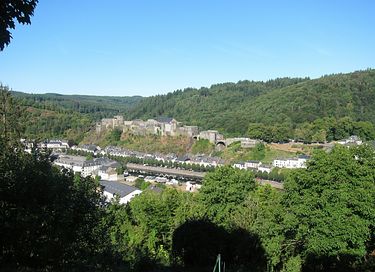 Wooden lodge in the Ardennes (dog welcome) - 16