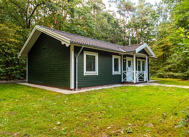 Chalet confortable dans les forêts de Drenthe - 2