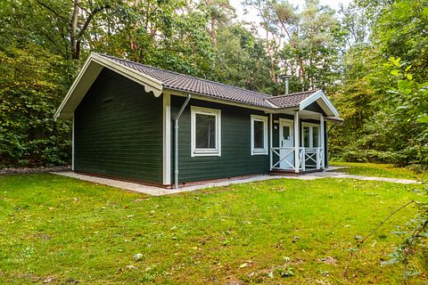 Chalet confortable dans les forêts de Drenthe - 2