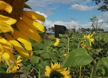 Tiny House met weids landelijk uitzicht - 14