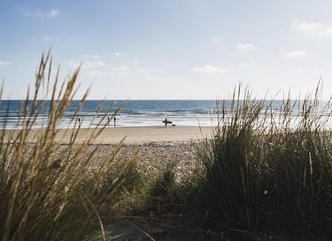 Hyggelig lejlighed i centrum af Callantsoog - 25