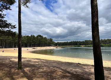 Ruim vakantiehuis in Veluwse bossen - 38