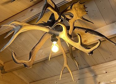 Tough luxury Scandinavian forest lodge on Veluwe - 20