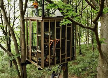 Overnight among the trees in glass cabin - 4