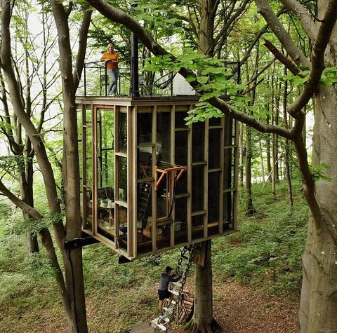 Overnight among the trees in glass cabin - 4