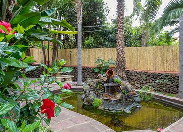Vakantiehuis met eigen zwembad en tuin - 7