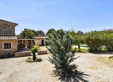 Groen vakantiehuis met veel privacy  - 5