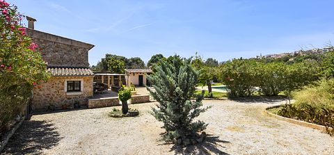 Groen vakantiehuis met veel privacy  - 5