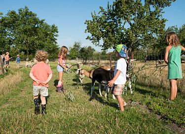 Glamping auf einem Ackerbauernhof - 2