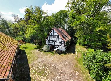 Historische watermolen in groene omgeving - 44