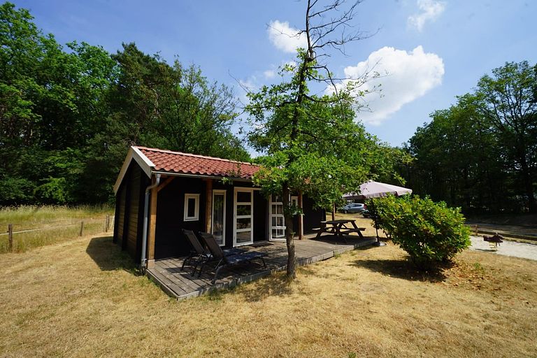 Vakantie in een Drentse kapschuur (4p) - 1
