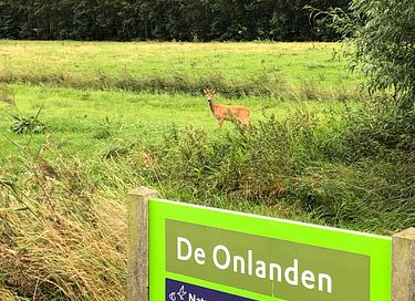 Dormir dans un Kota finlandais à Drenthe - 10