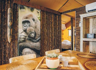 Tente safari de luxe en camping polyvalent - 11