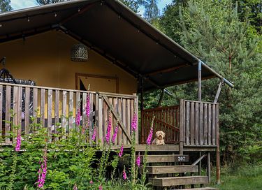 Luxe glampingtent in het bos met buitenbad - 3