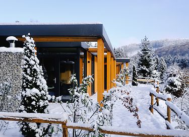 Luxe vakantiehuis (6p) in Sauerland - 3