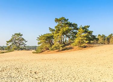 Vakantiehuis (6p) met overdekt terras  - 34