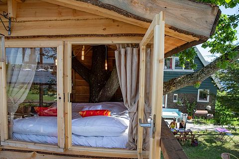 Dormez dans une unique cabane dans un arbre à Amsterdam - 2