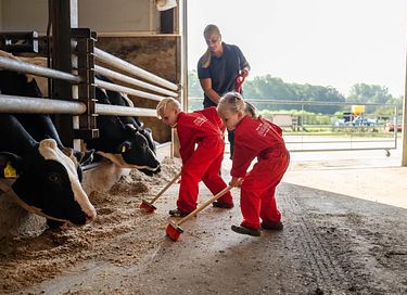 Glamping op veehouderij en akkerbouwboerderij - 15