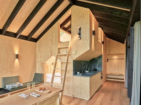 Luxueuze boomhut in de Ardennen - 5