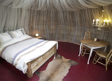Special stay in a thatch igloo - 9