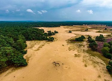 Luxury glamping tent (4p) on the Veluwe - 36