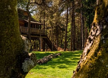 Un séjour spacieux à la cime des arbres, dans la province de Drenthe - 13