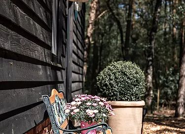 Lodge de luxe en pleine forêt avec spa privé - 48