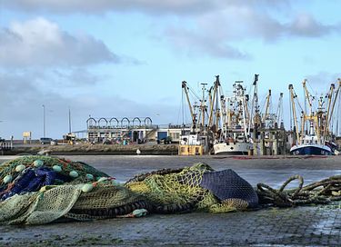 Vakantiehuis aan het Lauwersmeer - 26