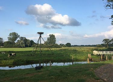 Lodge (sleeps 4) with wellness facilities in Overijssel - 27