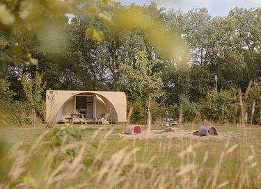 Cozy glamping tent in the middle of the forest - 11