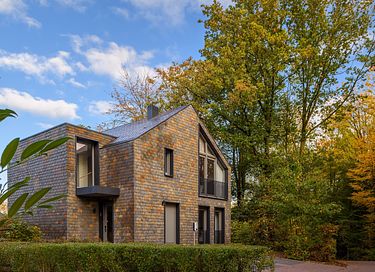 Wellness vacation villa in Limburg - 22