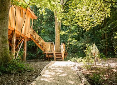 Treehouse (2p) in the Ardennes with wellness - 3