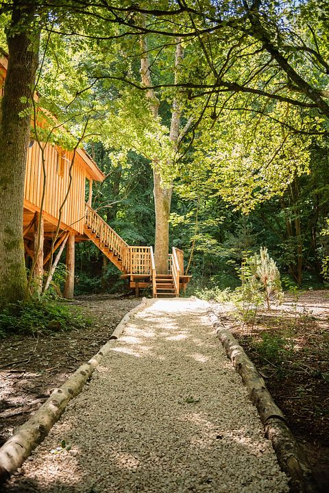 Treehouse (2p) in the Ardennes with wellness - 3