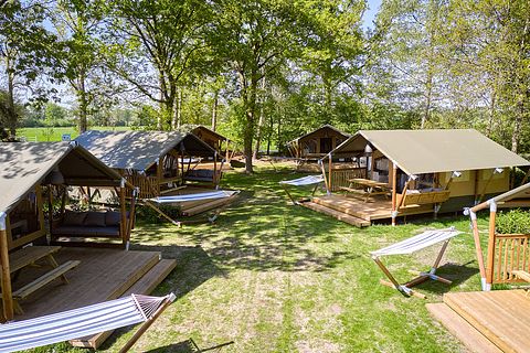 Glamping op familiecamping in Utrecht  - 5