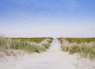 Charming stay on the Dutch coast - 30